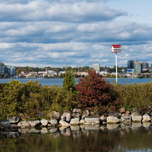 Barrie